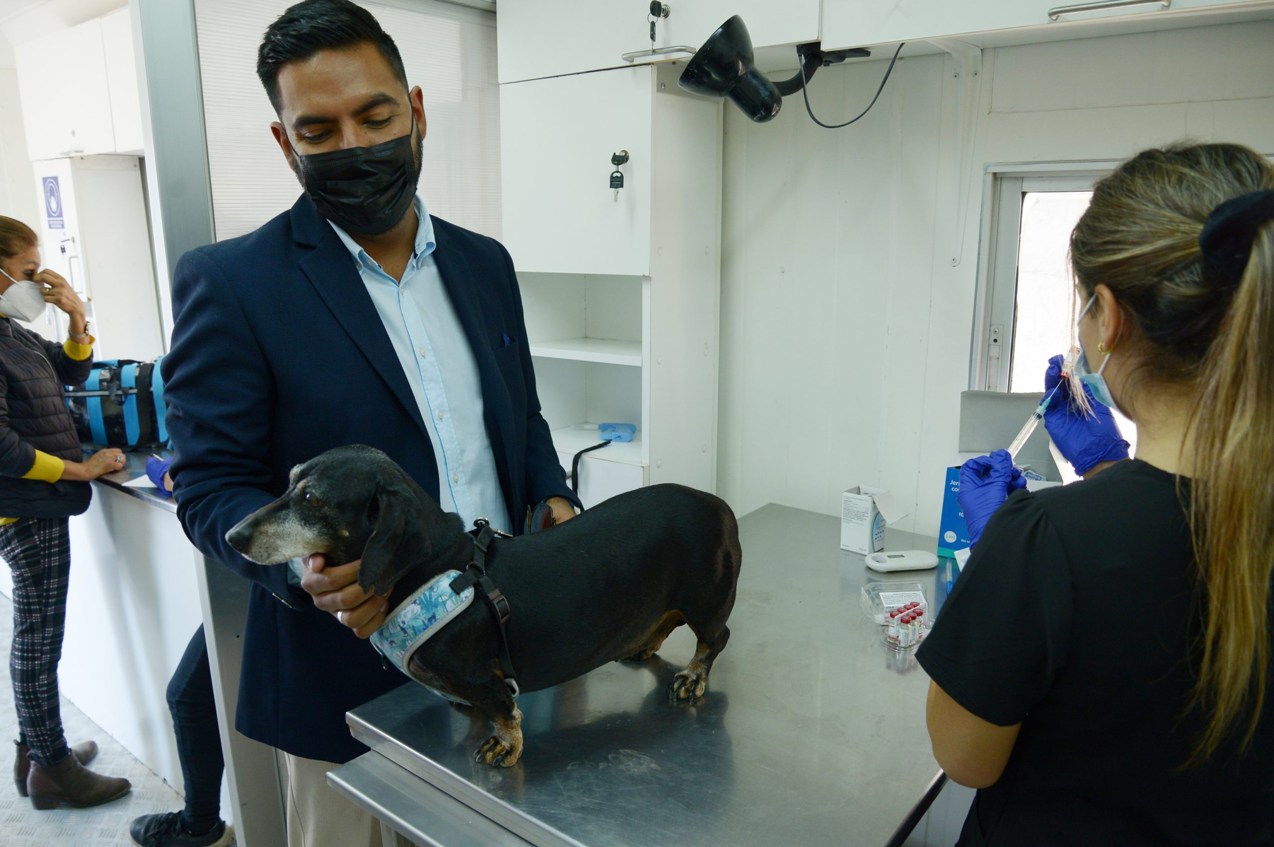 operativo microship 2