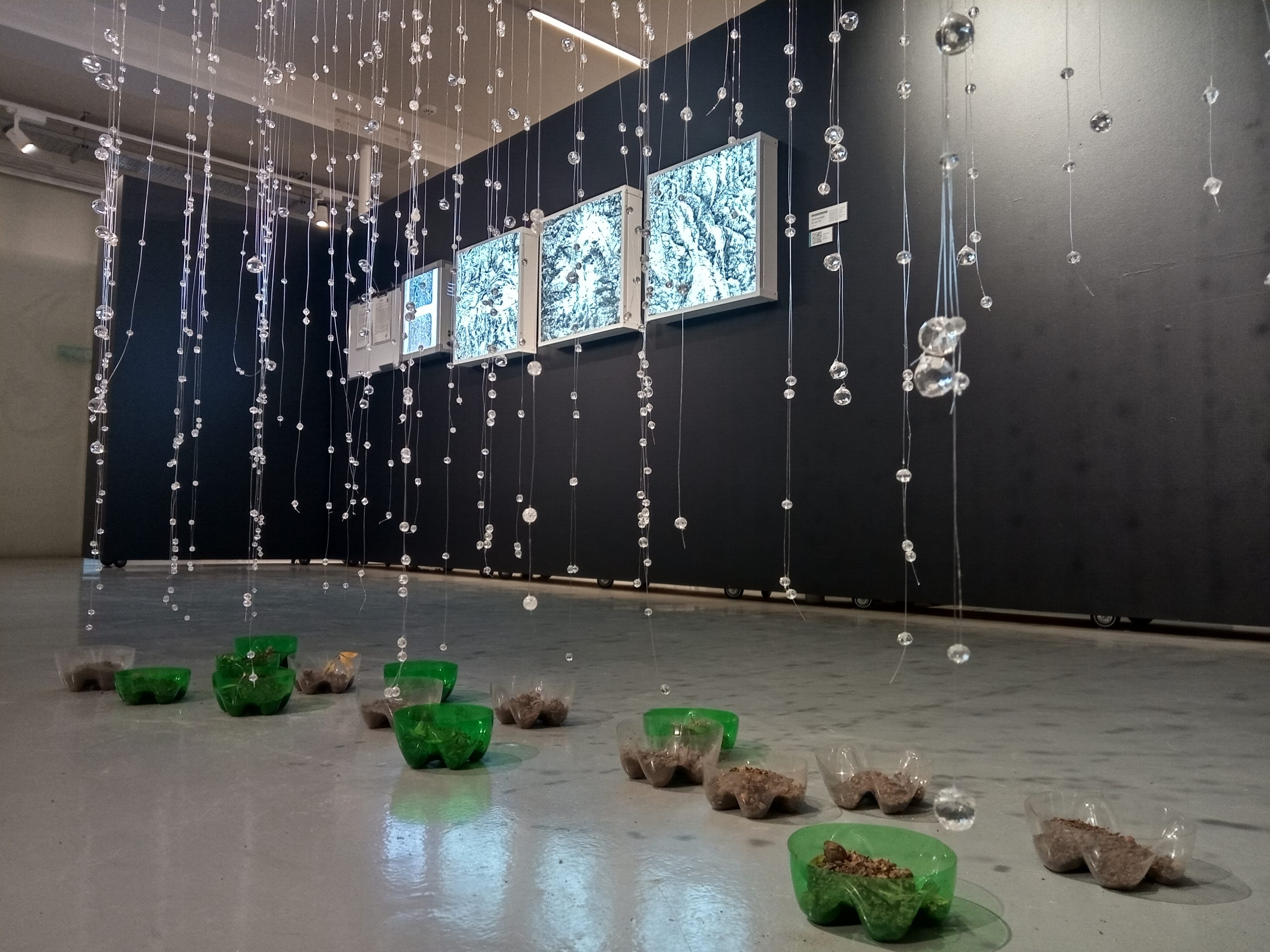 IMG_20220721_122216_620