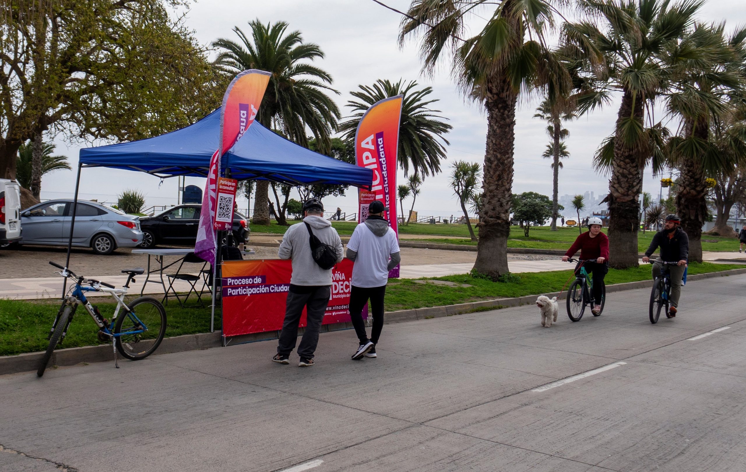 Viña decide cilcorecreovia 4