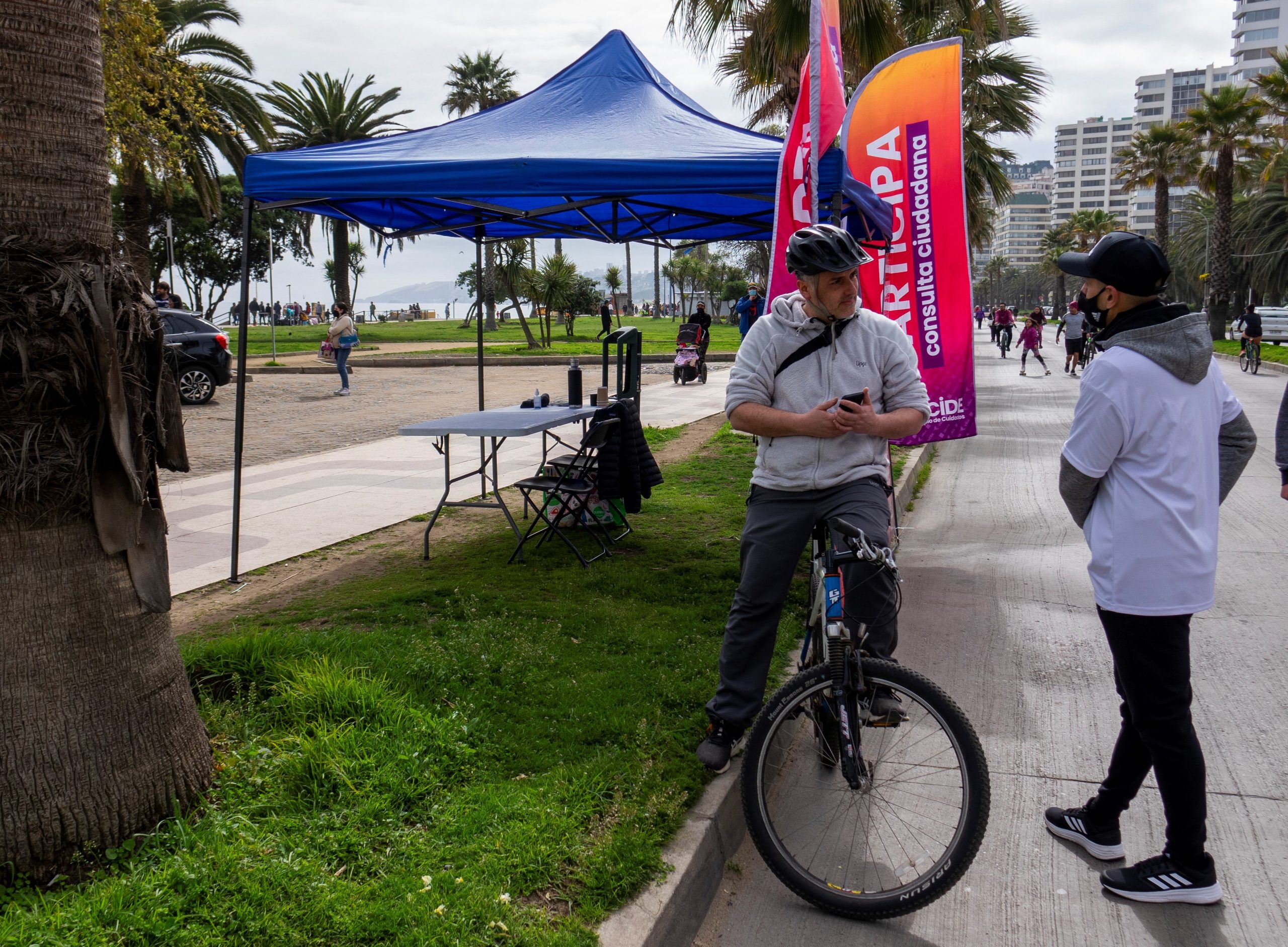 Viña decide cilcorecreovia 6