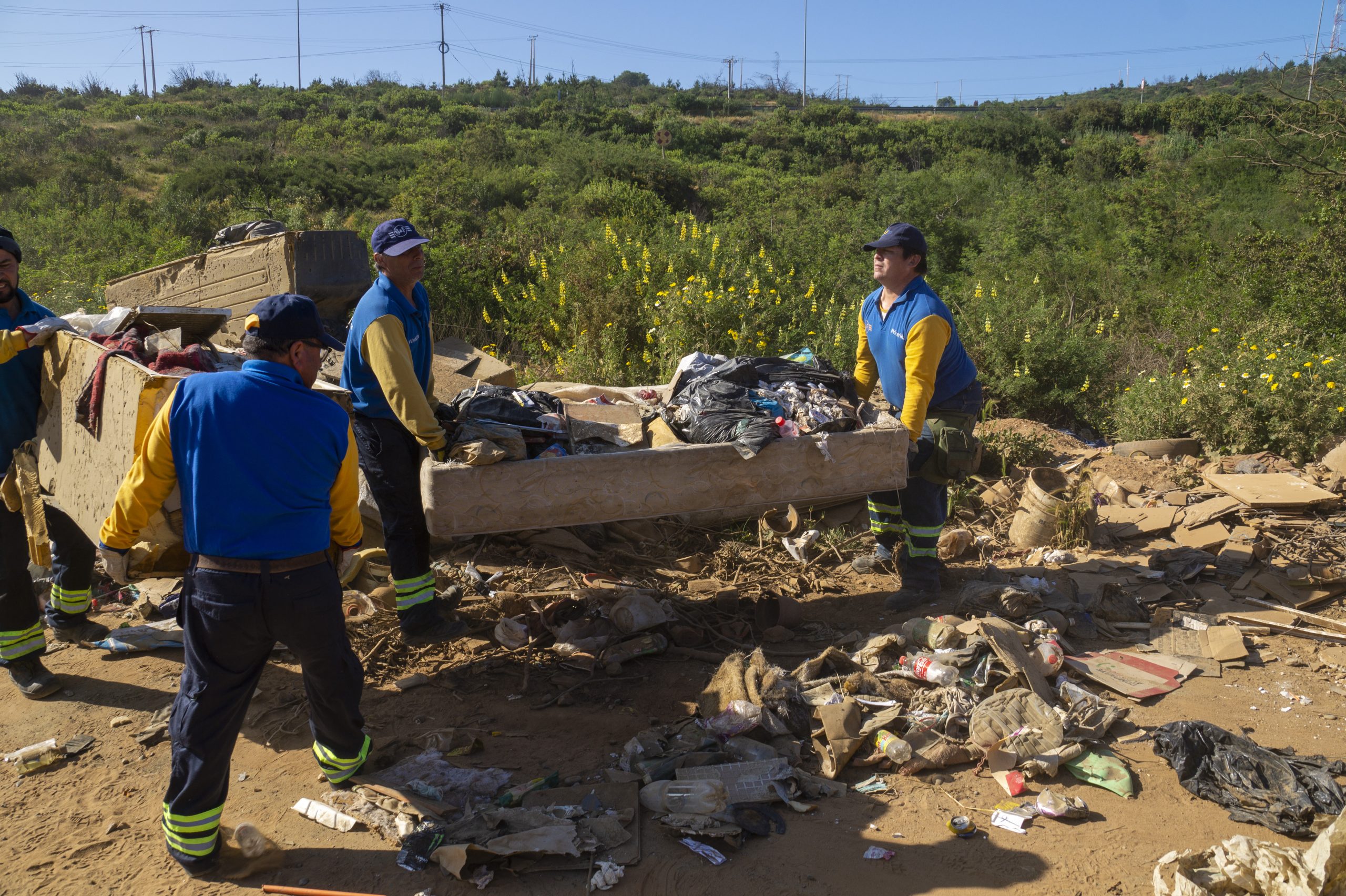Operativo Limpieza Forestal 3