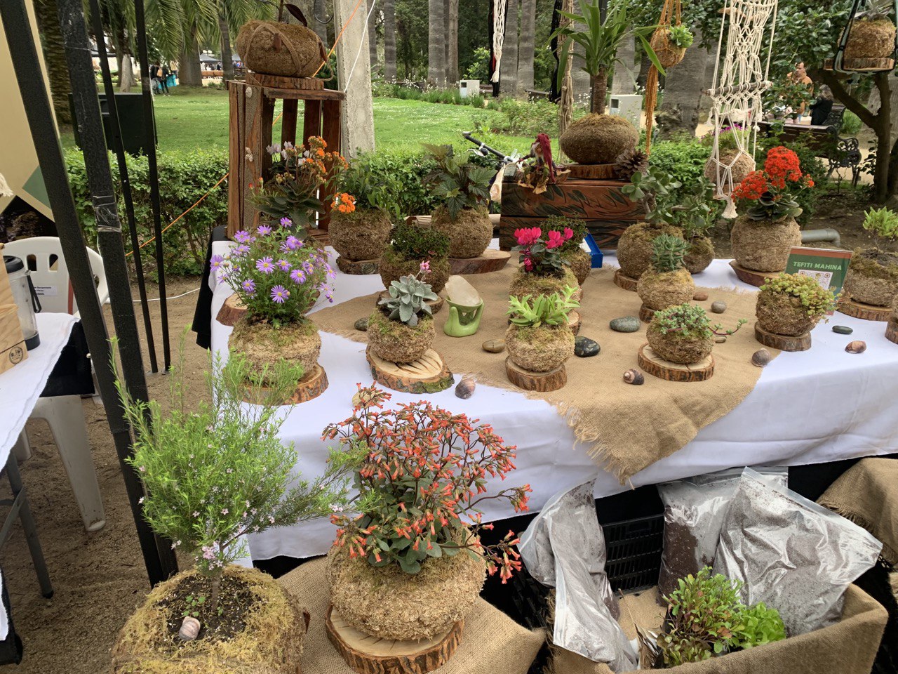 ianuguracion feria 5