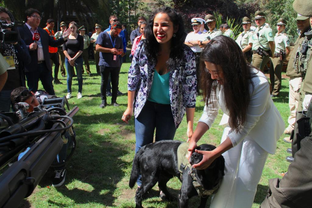 seguridad quinta vergara 7