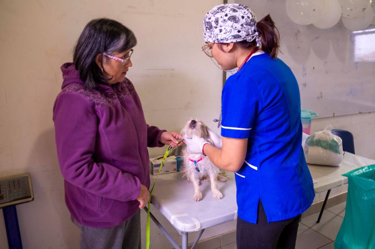 esterilización 4