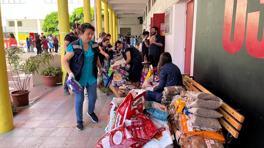 Imagen principal: Municipio de Viña del Mar dispone de centro de acopio para ir en apoyo de damnificados por incendios en el sur del país