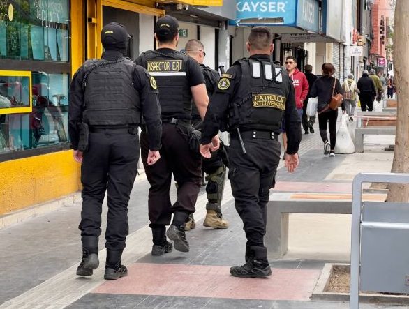 Imagen de la noticia Municipio de Viña del Mar inició fiscalizaciones con multas a compradores en el comercio ilegal