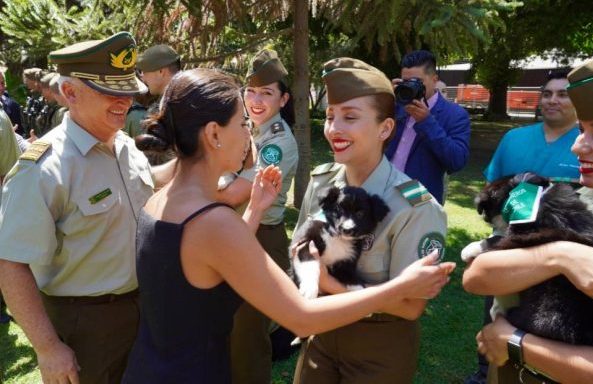 Imagen de la noticia Con mayor dotación policial inician su operación los cuarteles temporales de Carabineros y PDI en la Quinta Vergara